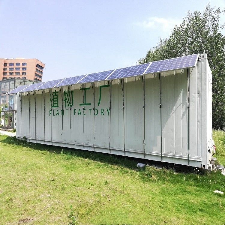 Tipo de contenedor Máquina de forraje verde Máquina de germinación comercial hidropónica